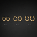 Gold Hoop Earrings